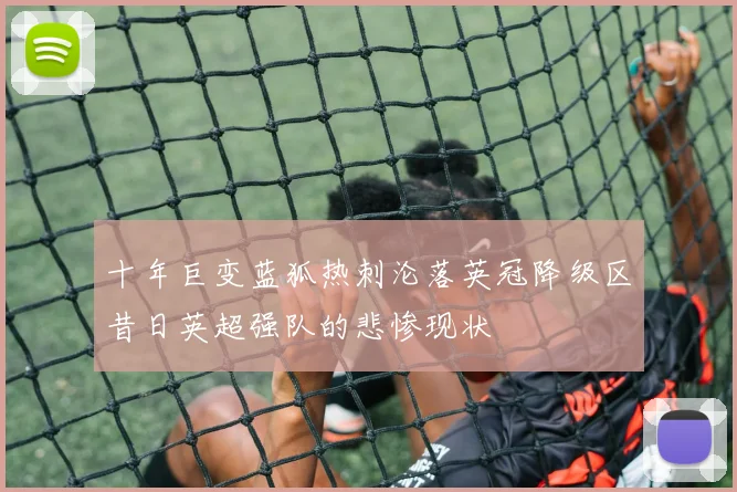 十年巨变蓝狐热刺沦落英冠降级区昔日英超强队的悲惨现状