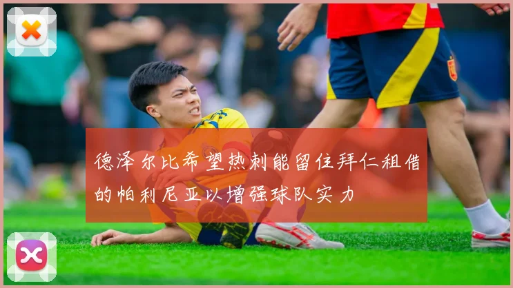 德泽尔比希望热刺能留住拜仁租借的帕利尼亚以增强球队实力