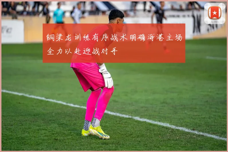 铜梁龙训练有序战术明确海港主场全力以赴迎战对手